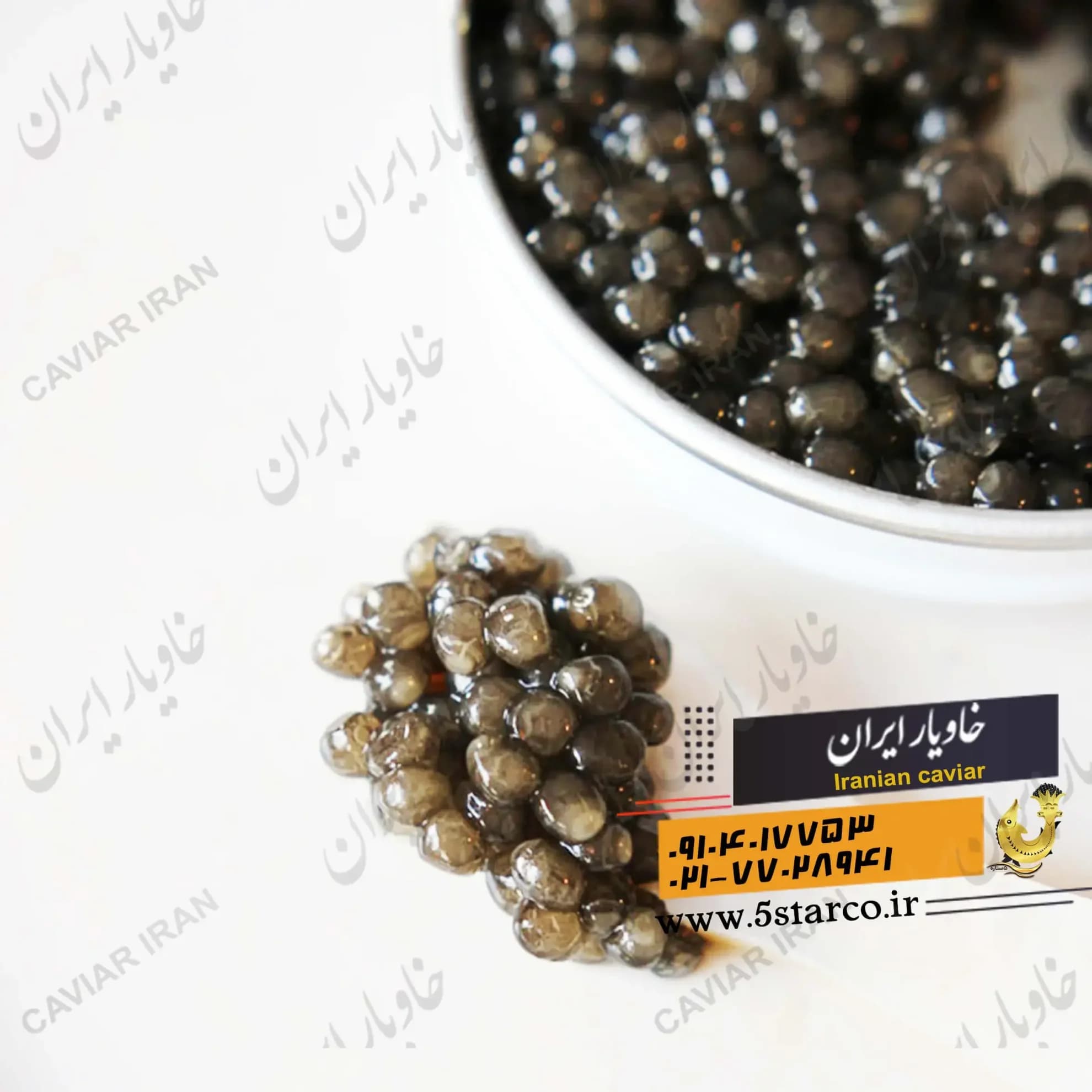 خاویار بلوگا — تصویر ۹