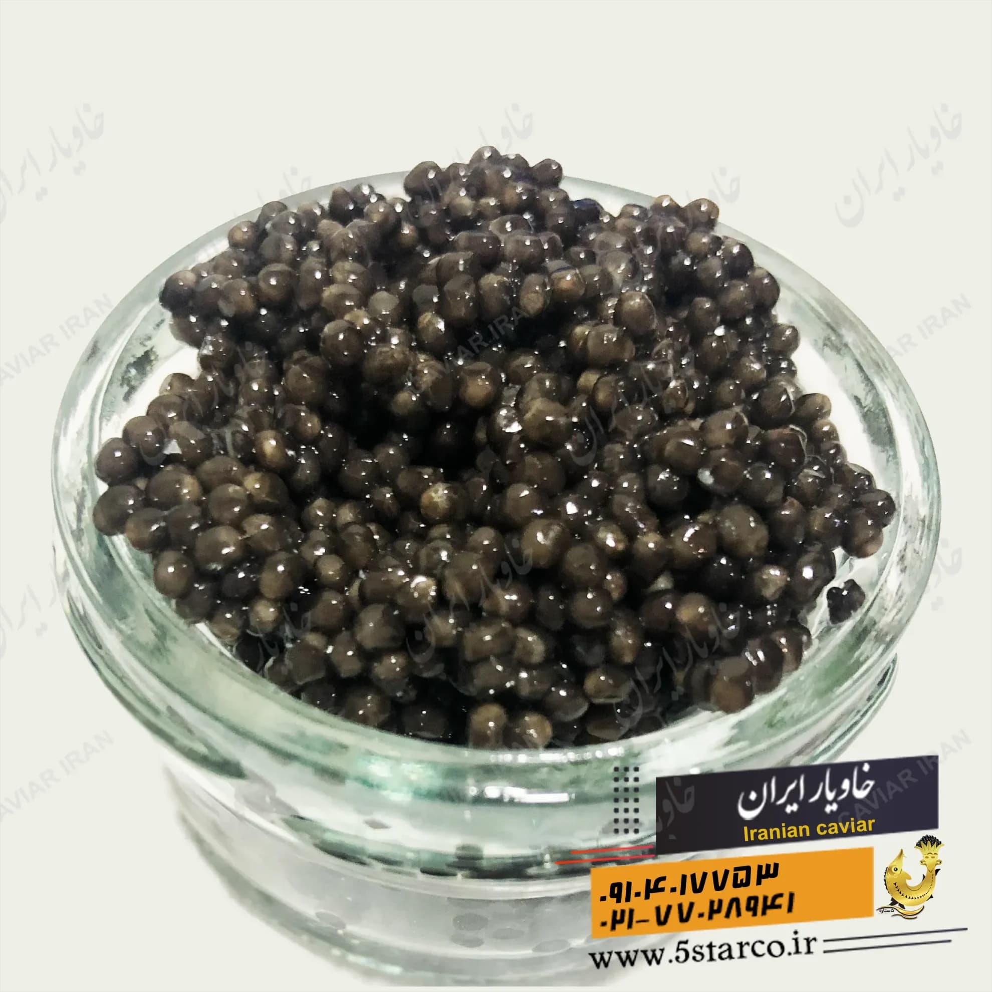 خاویار درجه یک | خرید خاویار درجه 1 — تصویر ۱۲