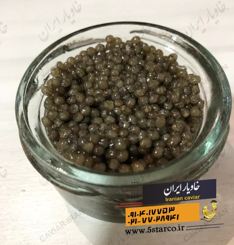 خاویار درجه یک | خرید خاویار درجه 1 — تصویر ۱۰