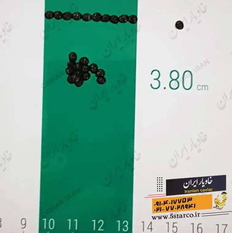 بهترین خاویار سه صفر | 000 | 3 صفر — تصویر ۱۰