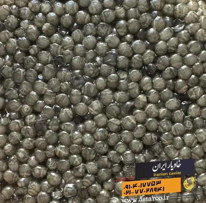 بهترین خاویار سه صفر | 000 | 3 صفر — تصویر ۱۱