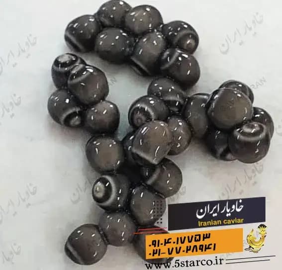 بهترین خاویار سه صفر | 000 | 3 صفر — تصویر ۷
