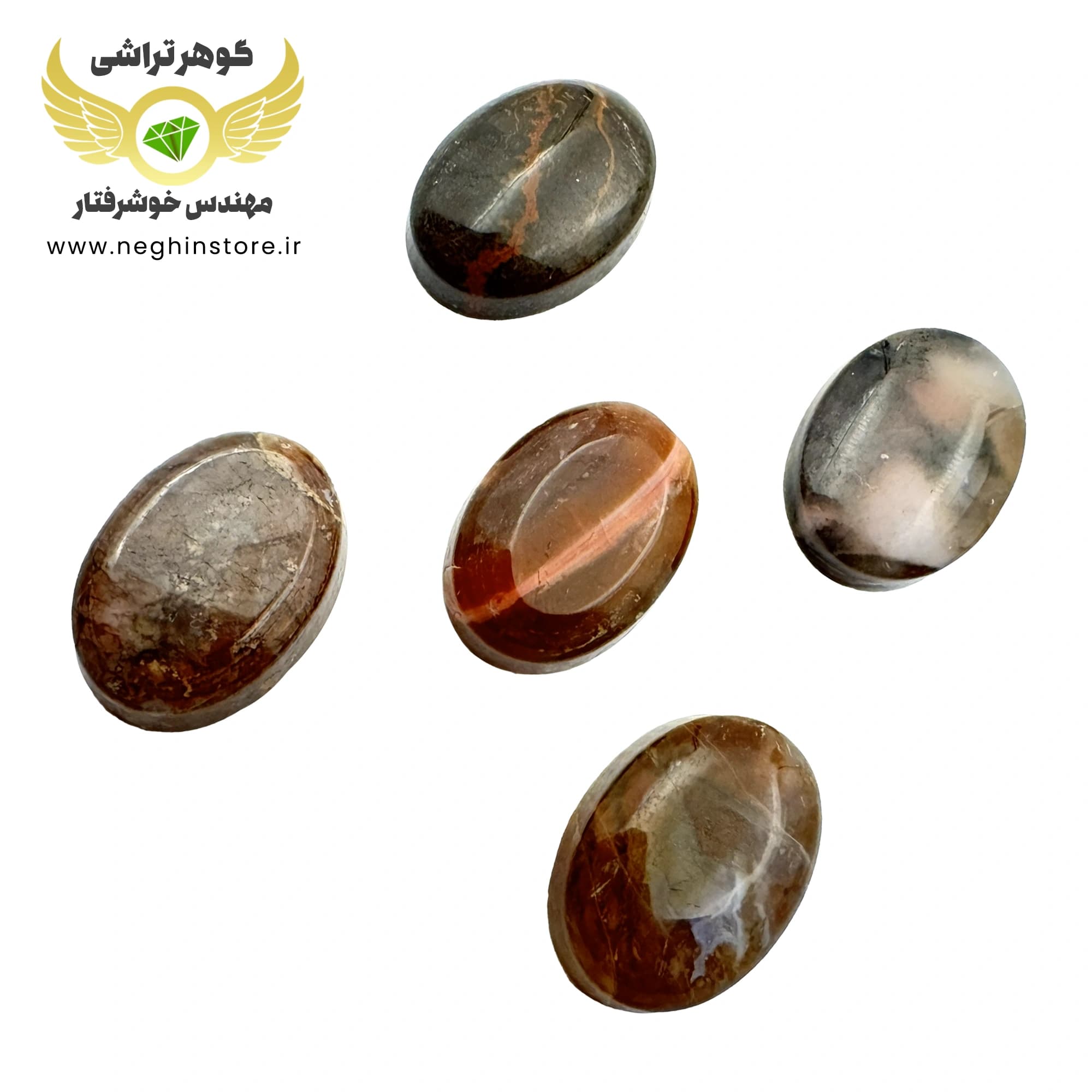 عقیق شجر معدنی پاییزی شیراز: خرید پکیچ ۵ نگین اصل زیبا – کد 1047