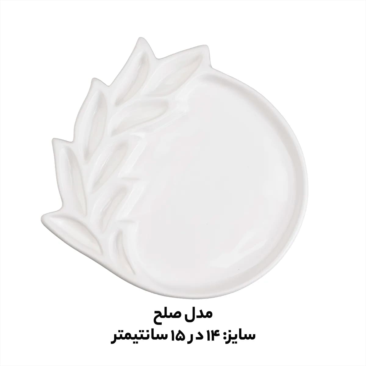 پالت سرامیکی ۱۰ خانه کد ۱۲ — تصویر ۲
