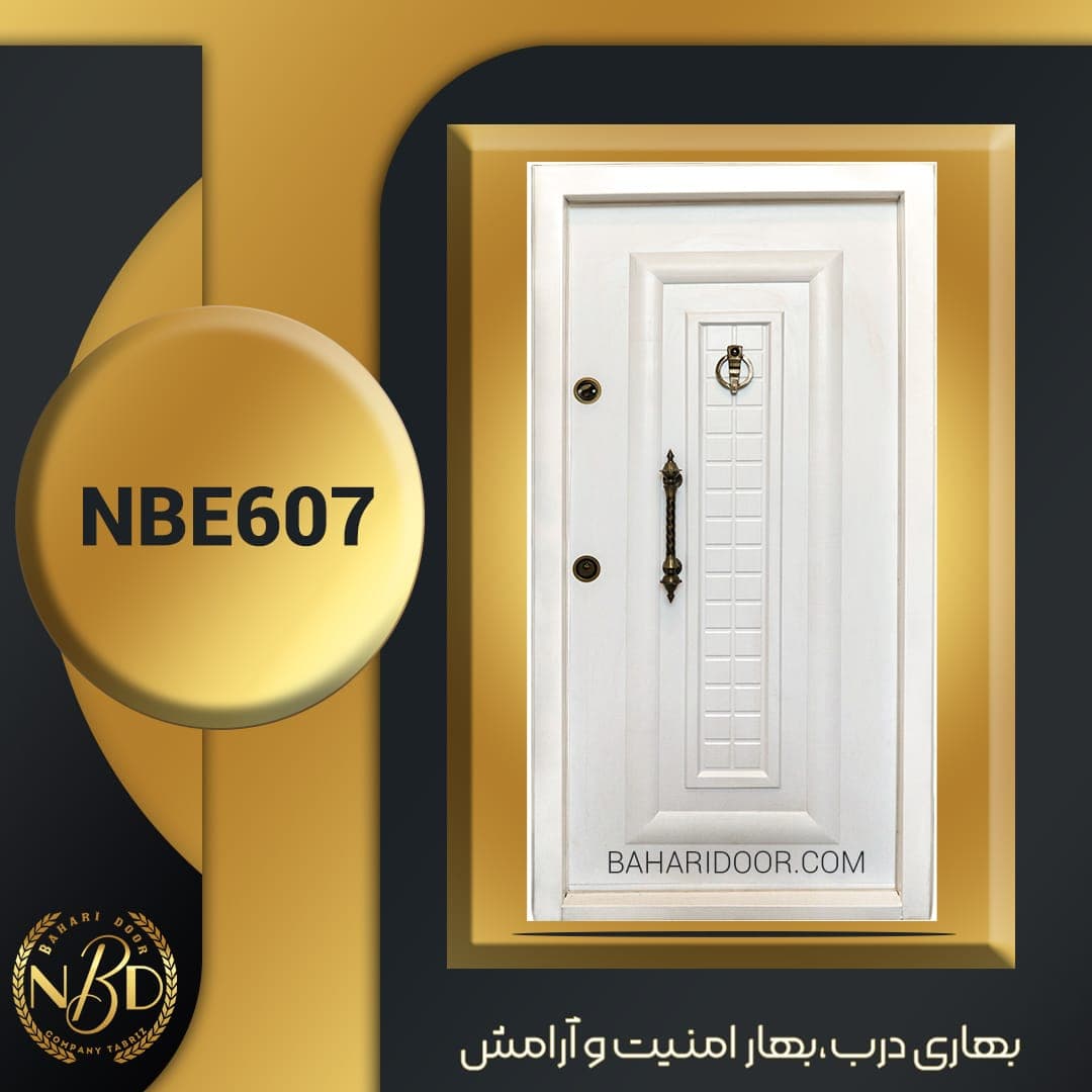 درب ضد سرقت اکونومی کد NBE607 — تصویر ۲