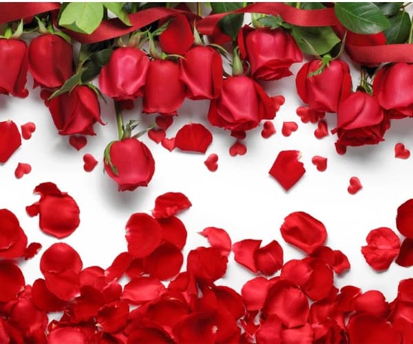 پوستر دیواری سه بعدی طرح گل های رز برای اتاق خواب — تصویر ۴