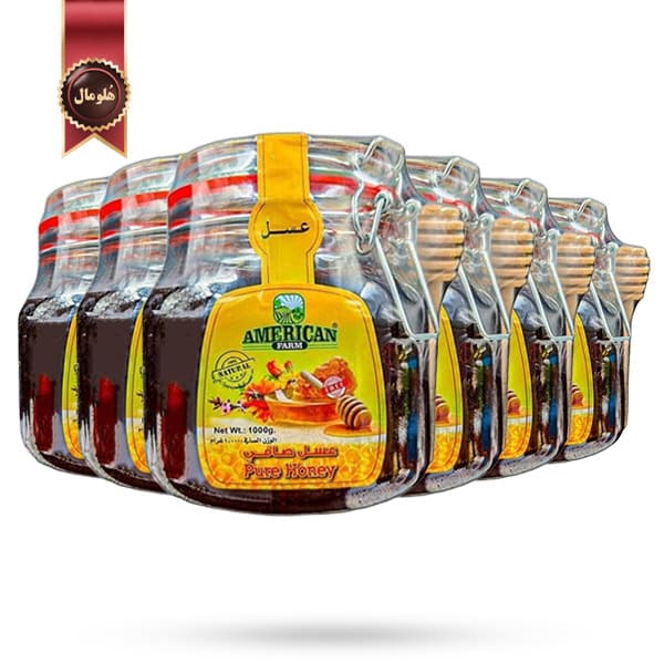 6 عدد عسل امریکن فارم American Farm مدل عسل طبیعی Pure Honey وزن یک کیلویی (اورجینال) — تصویر ۲