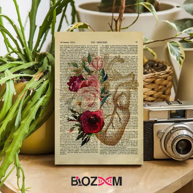 شاسی عکس طرح قلب انسان 2 – کد 121