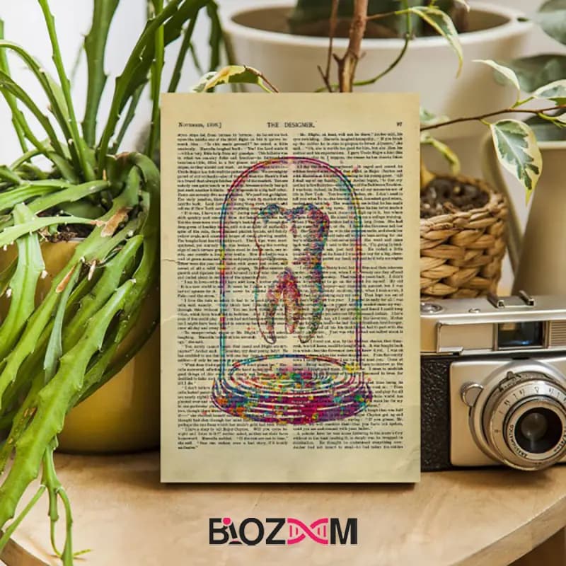 شاسی عکس طرح دندان در شیشه – کد 117 — تصویر ۵