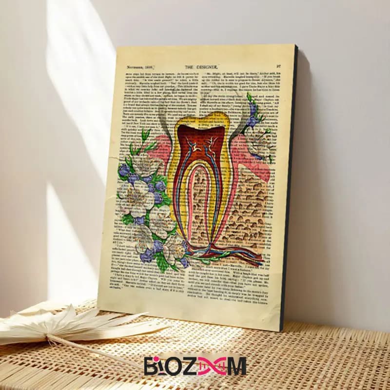 شاسی عکس طرح دندان 2 – کد 116 — تصویر ۷