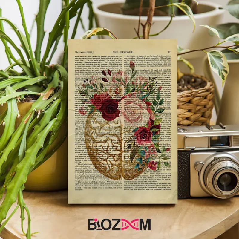 شاسی عکس طرح مغز انسان – کد 112