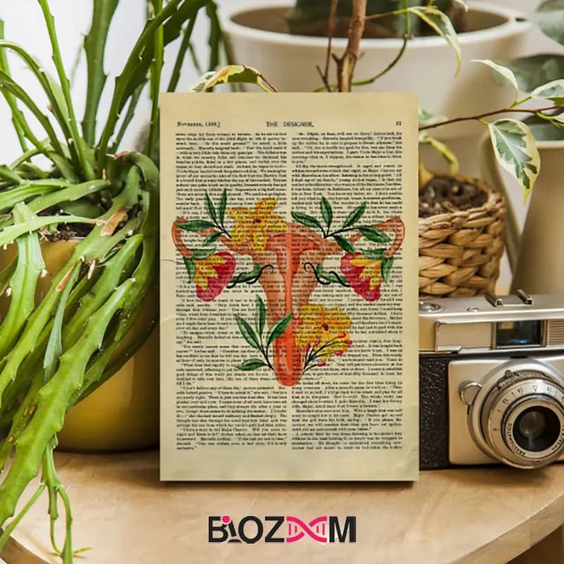 شاسی عکس طرح رحم انسان – کد 105