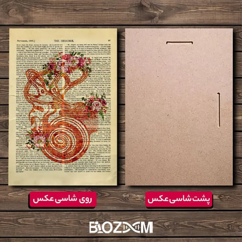 شاسی عکس طرح حلزونی گوش – کد 102 — تصویر ۶