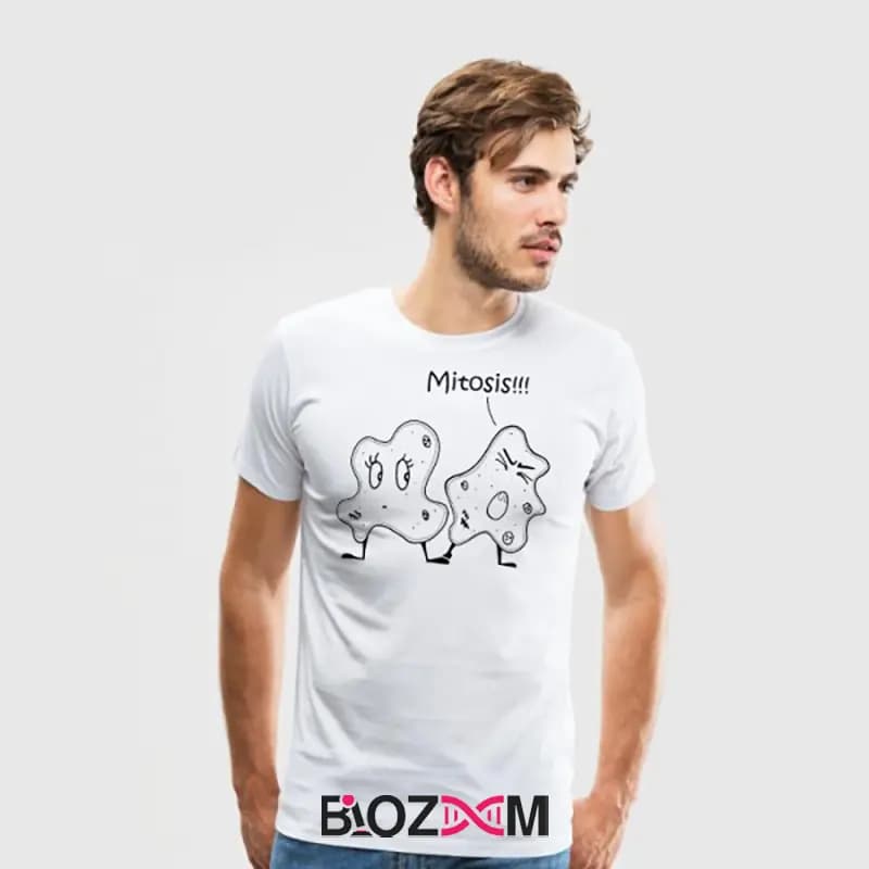 تیشرت طرح میتوز زیست شناسی – کد 160 — تصویر ۷