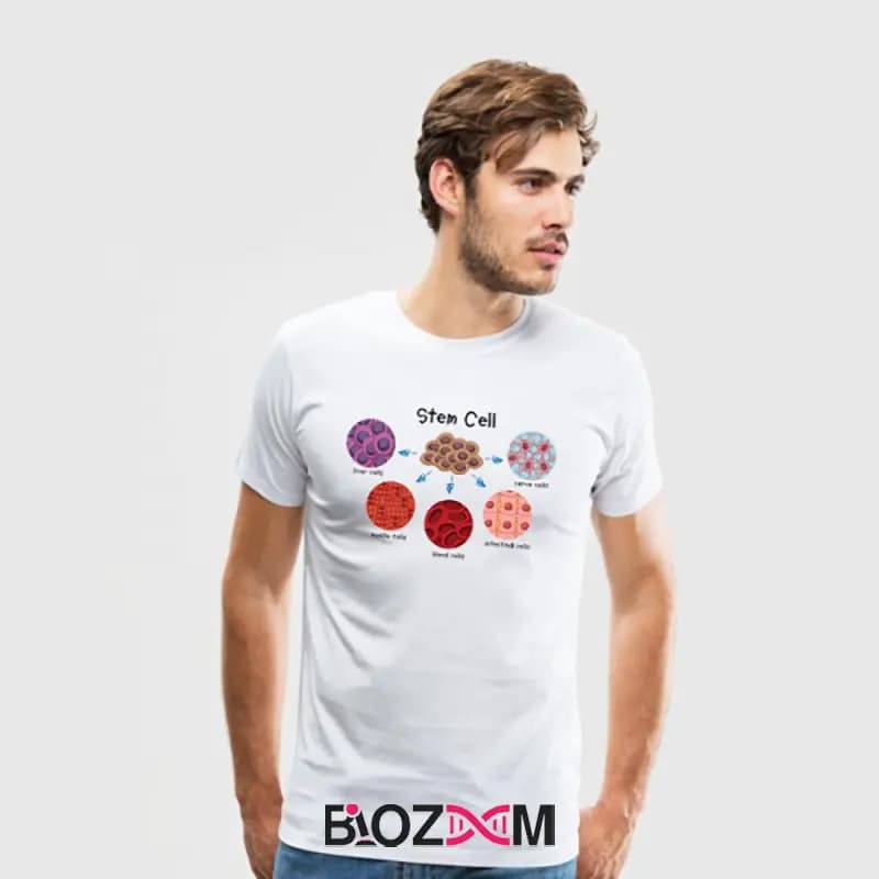 تیشرت طرح stem cells زیست شناسی – کد 168 — تصویر ۷