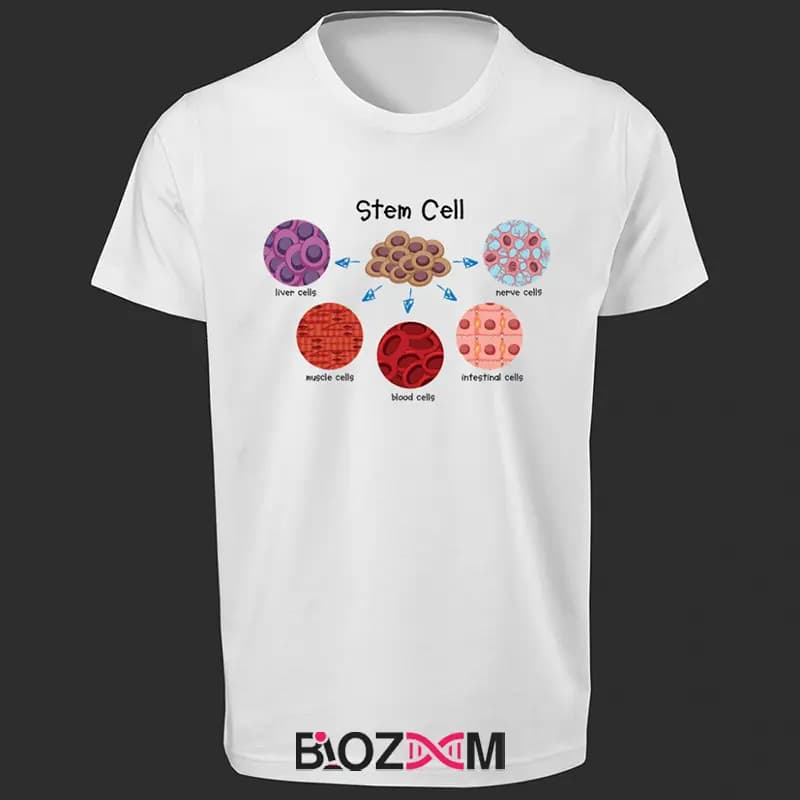 تیشرت طرح stem cells زیست شناسی – کد 168