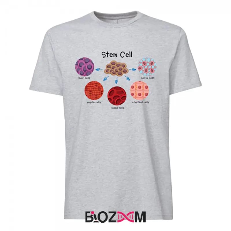 تیشرت طرح stem cells زیست شناسی – کد 168 — تصویر ۴