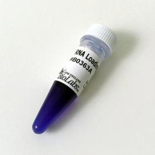 DNA لودینگ دای برای لود کردن DNA روی ژل آگاروز 6X — تصویر ۶