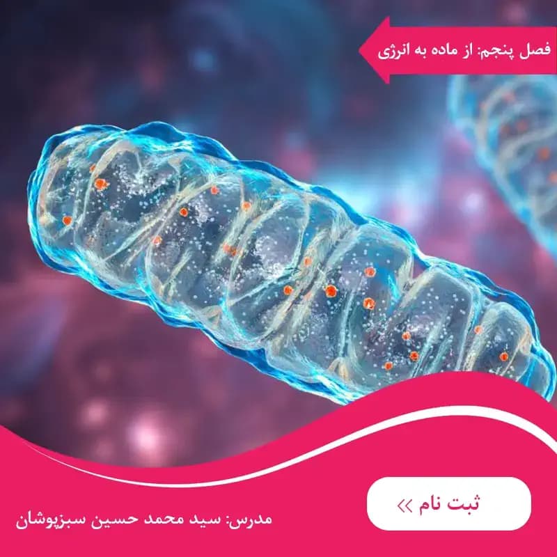 دوره زیست دوازدهم فصل پنجم از ماده به انرژی — تصویر ۲