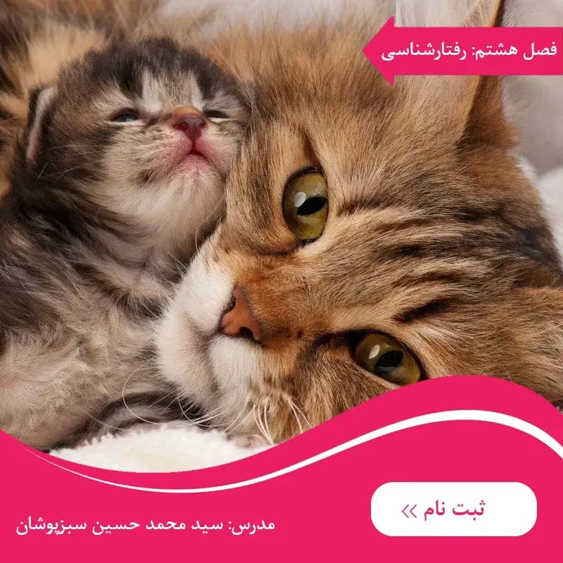 دوره زیست دوازدهم فصل هشتم رفتارهای جانوران — تصویر ۲