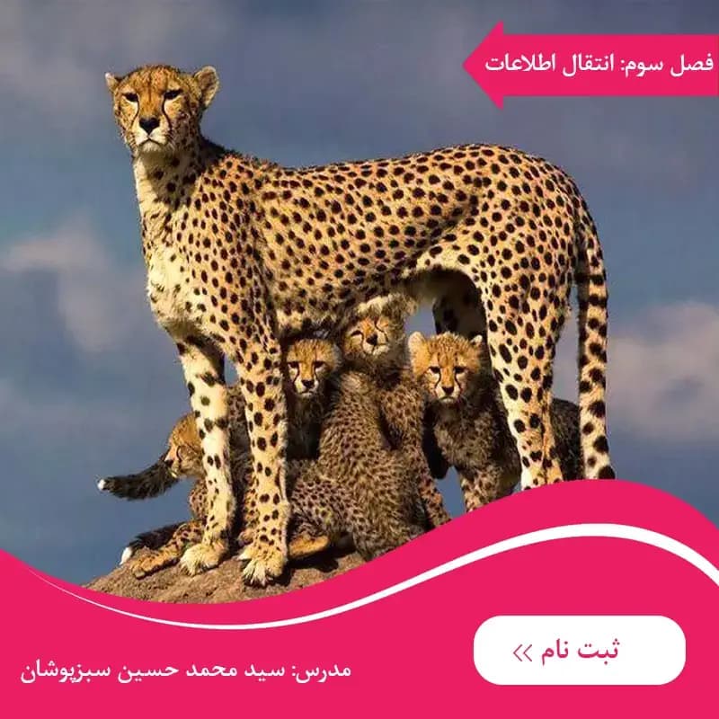 دوره زیست دوازدهم فصل سوم انتقال اطلاعات در نسل‌ها