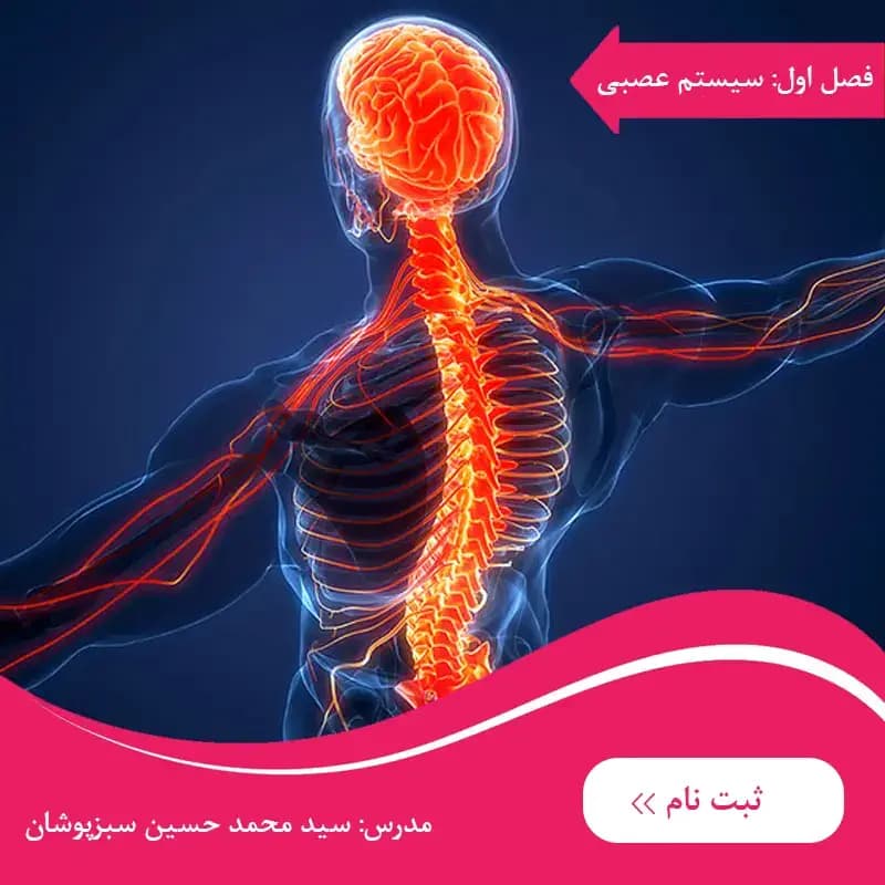 دوره برین بی فصل اول : شگفتی‌های امپراطوری اعصاب
