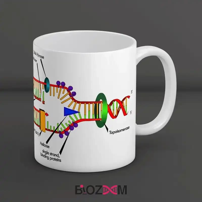 ماگ ژنتیک طرح همانندسازی DNA – کد 101 — تصویر ۵
