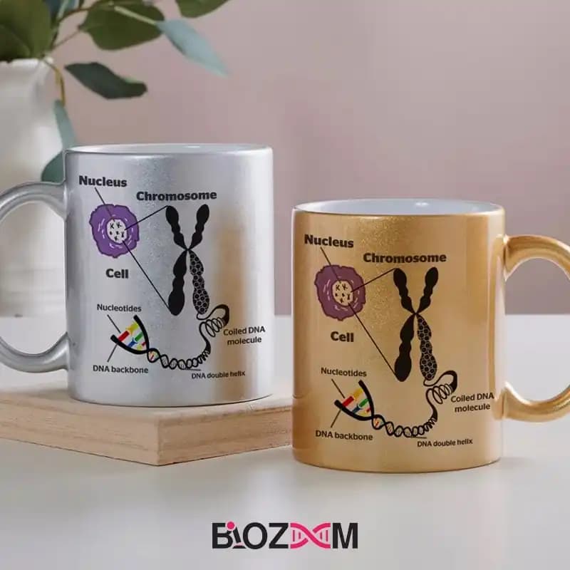 ماگ ژنتیک طرح DNA – کد 115 — تصویر ۶