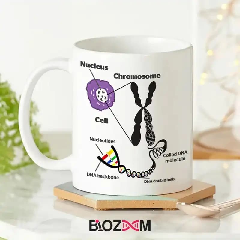 ماگ ژنتیک طرح DNA – کد 115