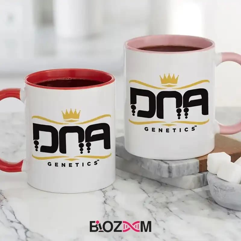 ماگ ژنتیک طرح DNA – کد 117 — تصویر ۷