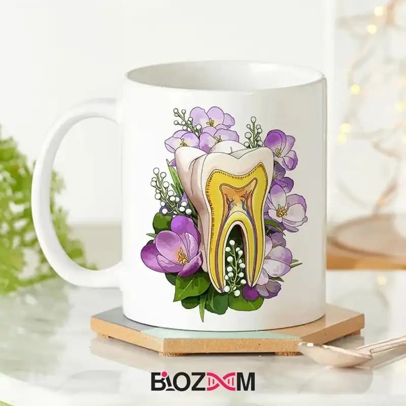 ماگ آناتومی طرح دندان – کد 106
