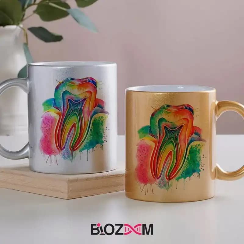 ماگ آناتومی طرح دندان – کد 107 — تصویر ۴