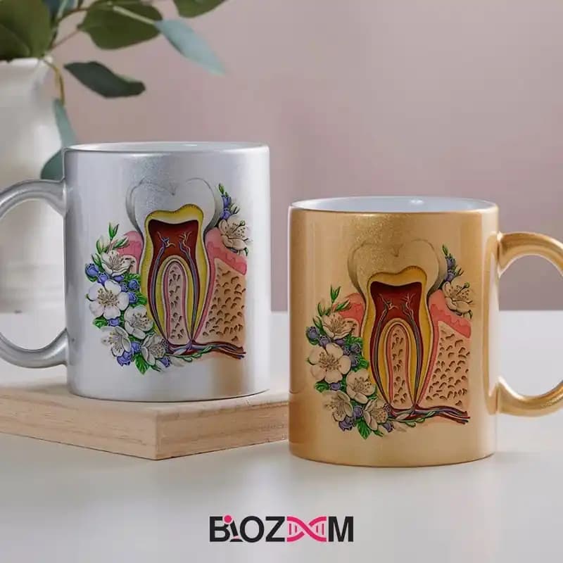 ماگ آناتومی طرح دندان – کد 110 — تصویر ۴