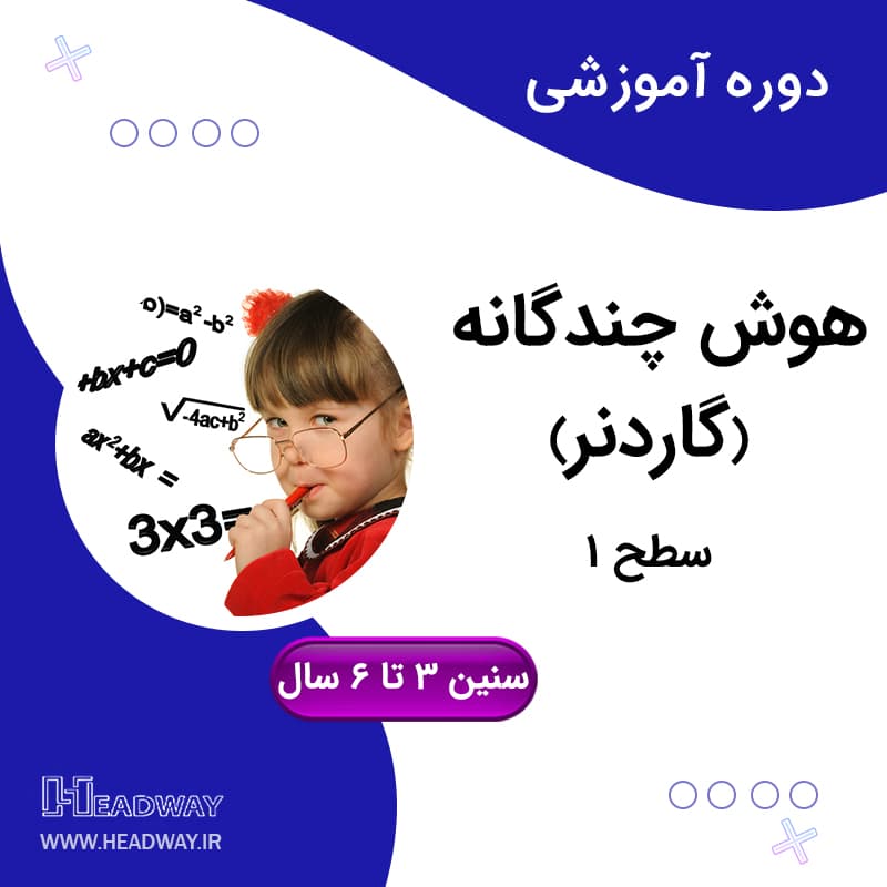 هوش چندگانه گاردنر(سطح1)
