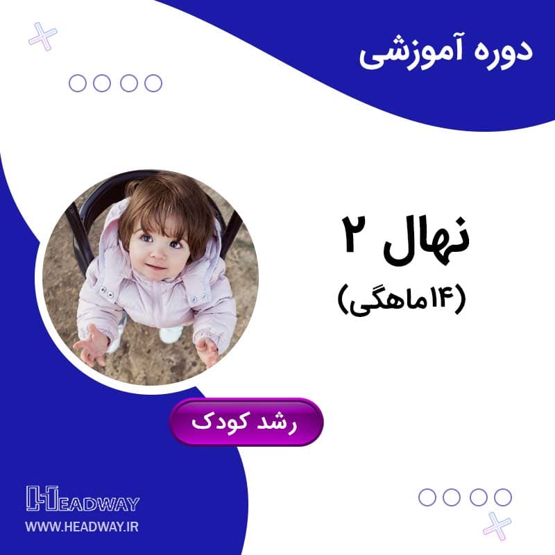 رشد سطح 8(14ماهگی)