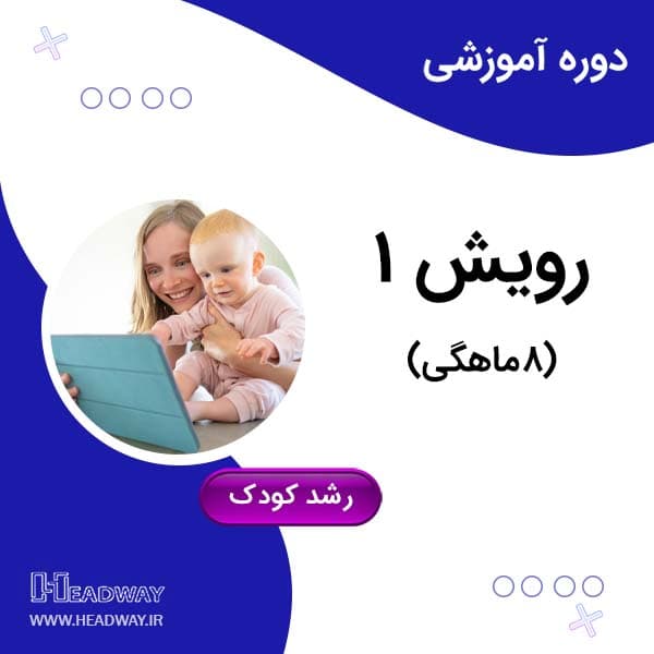 رشد سطح 4(۸ماهگي)
