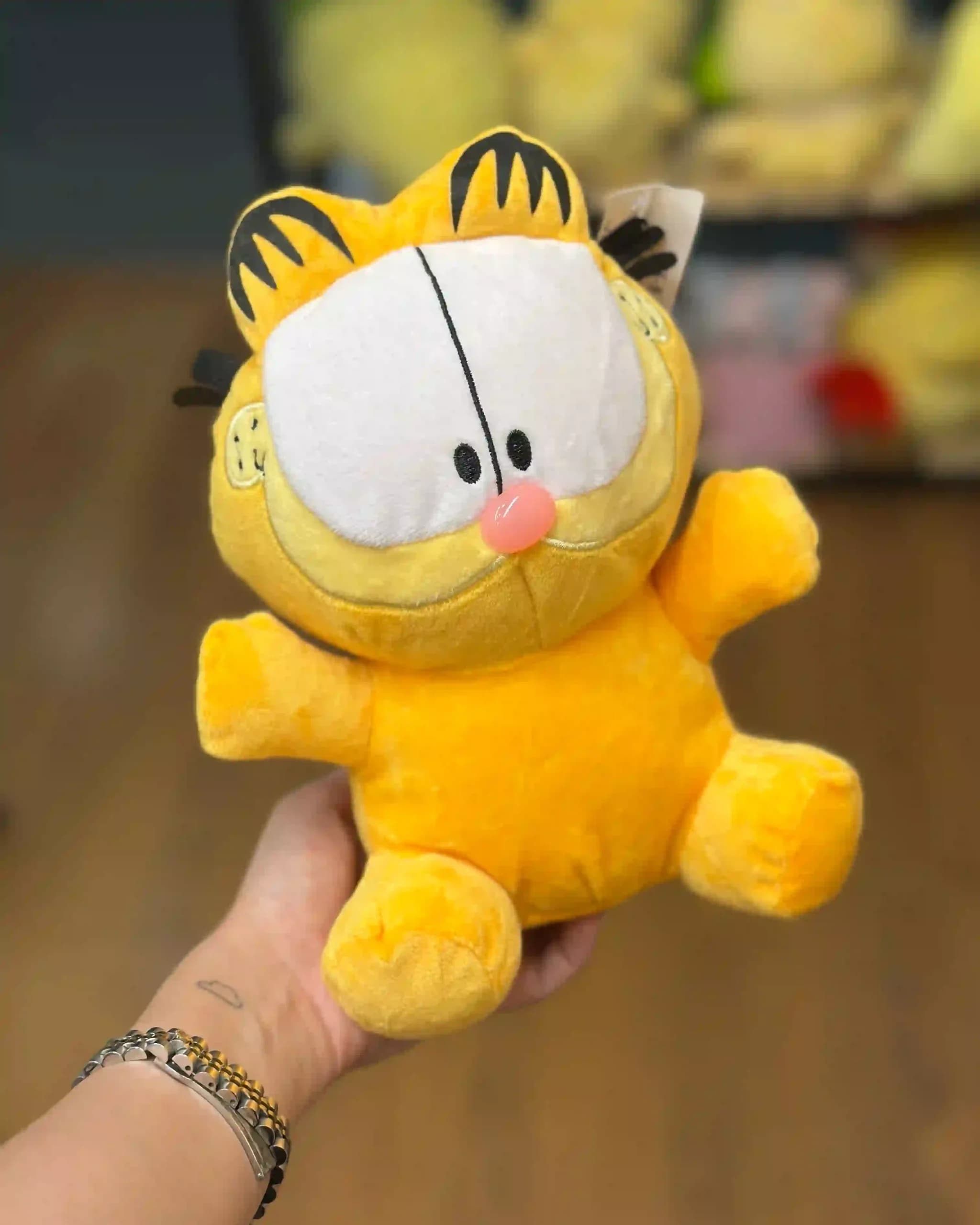 گارفیلد کد ۳۳۹