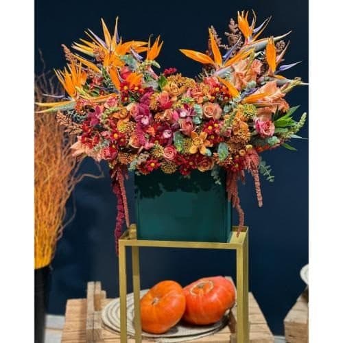 گل و هدیه برای روز حقوق فردی pe799 — تصویر ۲