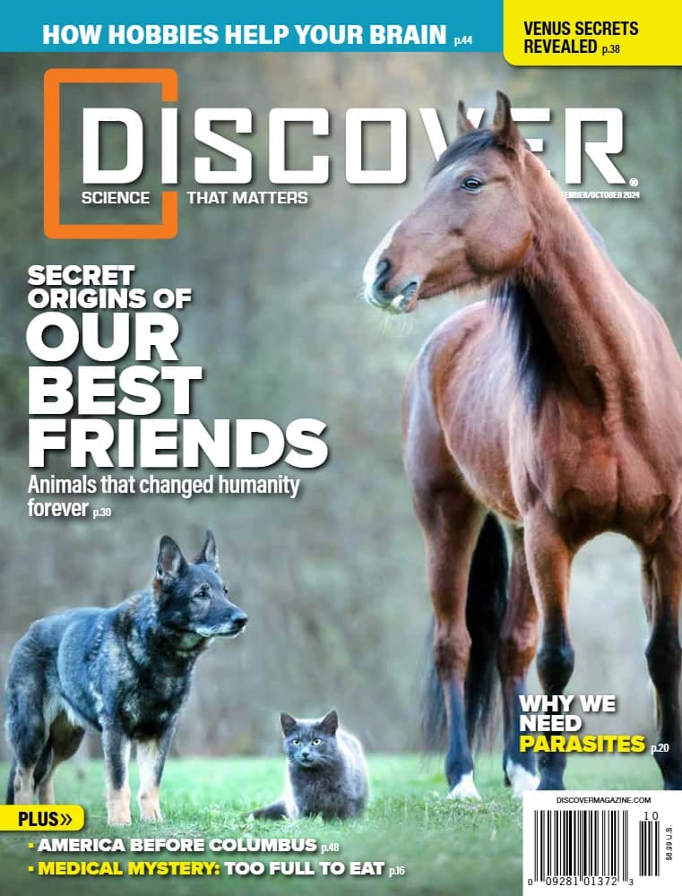 کتاب مجله دیسکاور: سپتامبر-اکتبر ۲۰۲۴ Discover Magazine انگلیسی PDF — تصویر ۲