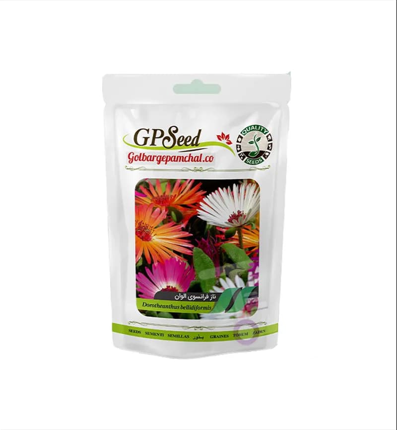 پک 9 عددی بذر گل های زینتی گلبرگ پامچال GP Seed — تصویر ۸