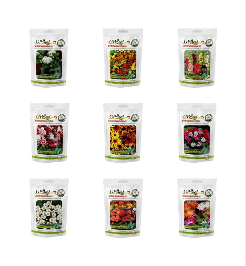 پک 9 عددی بذر گل های زینتی گلبرگ پامچال GP Seed