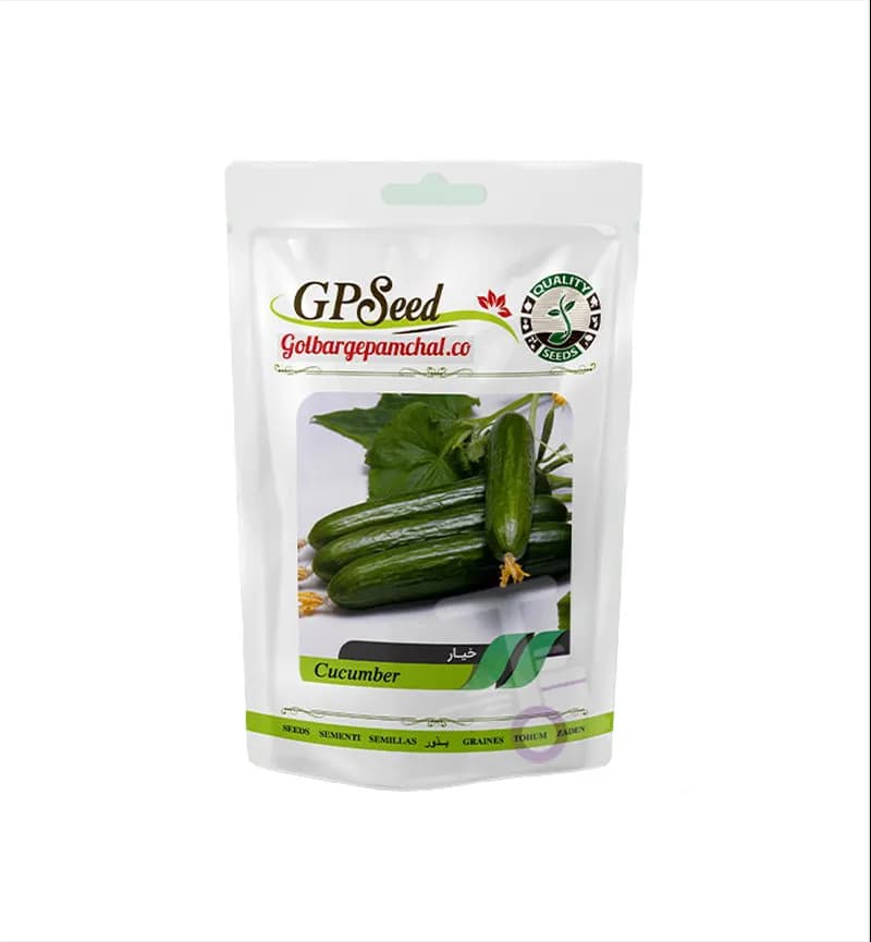 پک 7 عددی بذر صیفی‌جات گلبرگ پامچال GP Seed — تصویر ۲