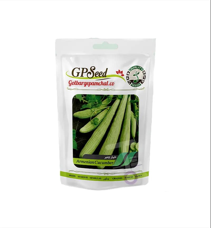 پک دوم 12 عددی بذر صیفی‌جات گلبرگ پامچال GP Seed — تصویر ۶