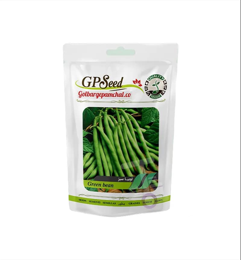 پک دوم 12 عددی بذر صیفی‌جات گلبرگ پامچال GP Seed — تصویر ۴