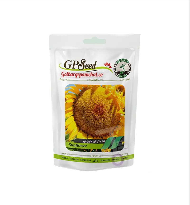 پک اول 12 عددی بذر صیفیجات گلبرگ پامچال GP Seed — تصویر ۶