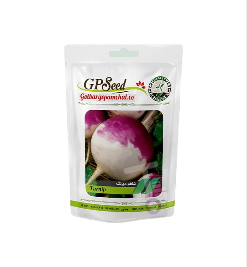پک اول 12 عددی بذر صیفیجات گلبرگ پامچال GP Seed — تصویر ۴
