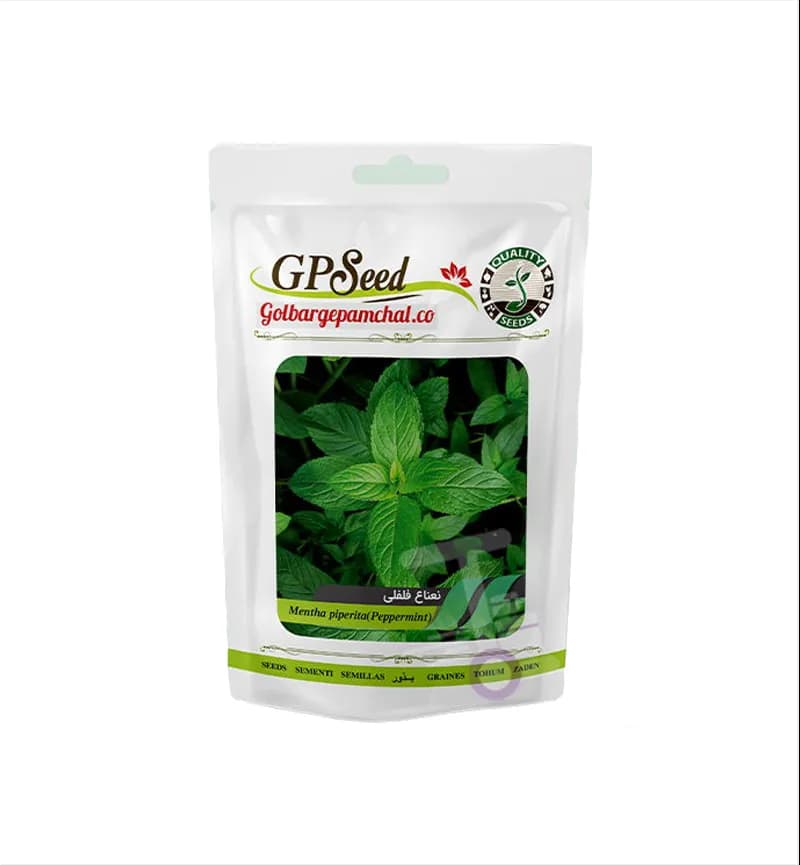 پک 11 عددی بذر سبزیجات پامچال GP Seed — تصویر ۴