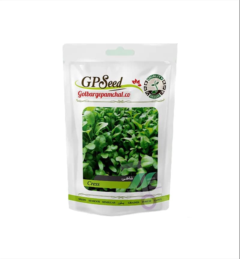 پک 11 عددی بذر سبزیجات پامچال GP Seed — تصویر ۸