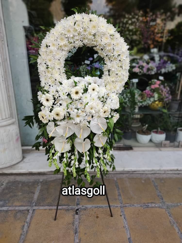 تاج گل حلقه ای آبشاردار آراد — تصویر ۲