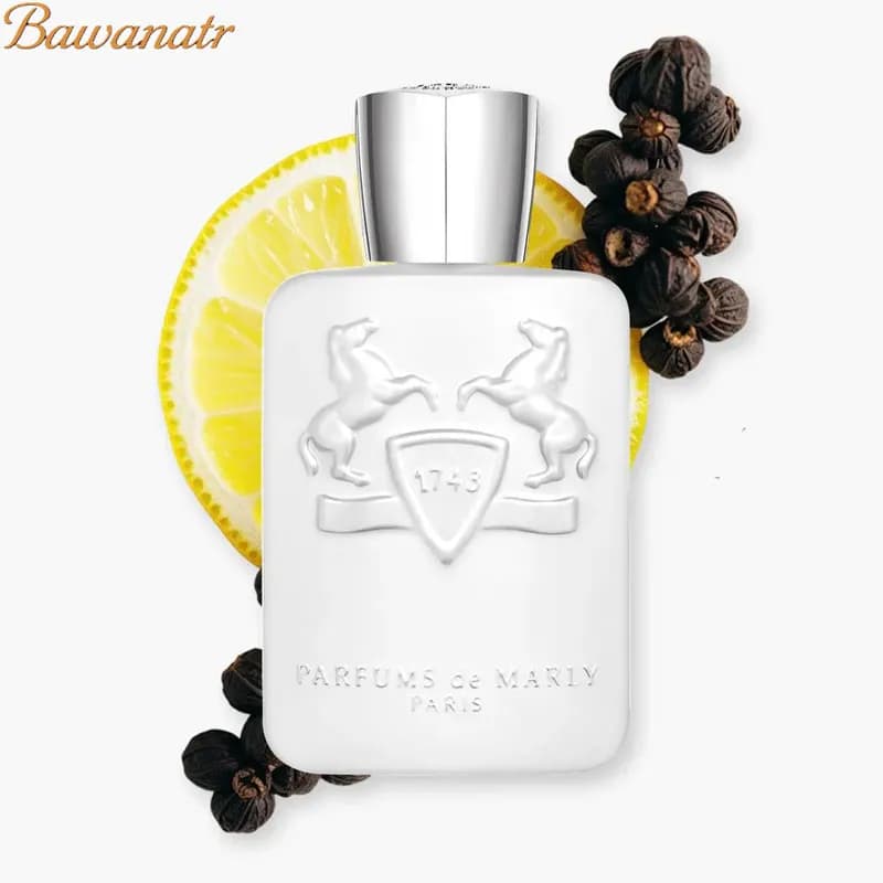 ادکلن مارلی گالوی – رایحه‌ای خنک و لوکس — تصویر ۲